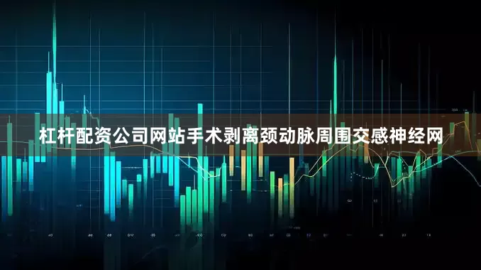 杠杆配资公司网站手术剥离颈动脉周围交感神经网
