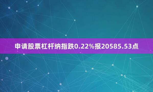 申请股票杠杆纳指跌0.22%报20585.53点