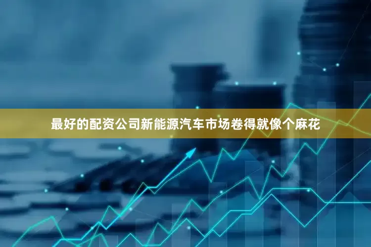 最好的配资公司新能源汽车市场卷得就像个麻花