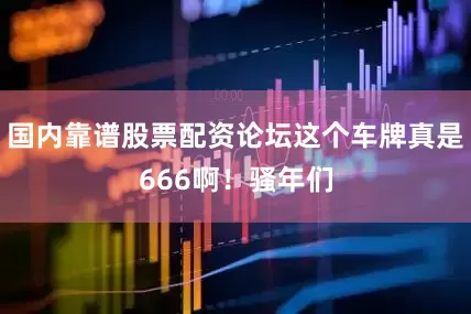 国内靠谱股票配资论坛这个车牌真是666啊！骚年们
