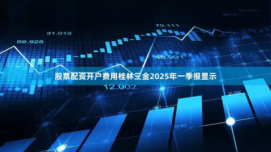 股票配资开户费用桂林三金2025年一季报显示