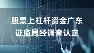 股票上杠杆资金　　广东证监局经调查认定